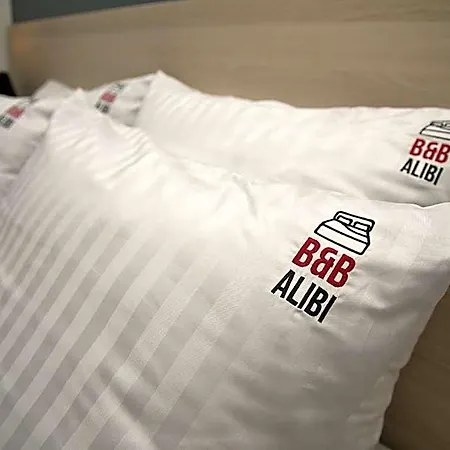 Alibi